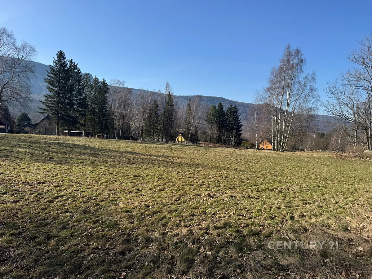 Prodej pozemku 3194 m²